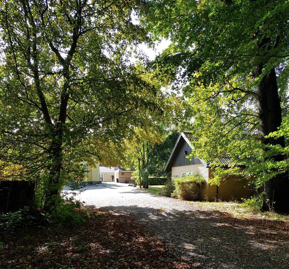 Pederstrup Bed And Breakfast Torrig エクステリア 写真