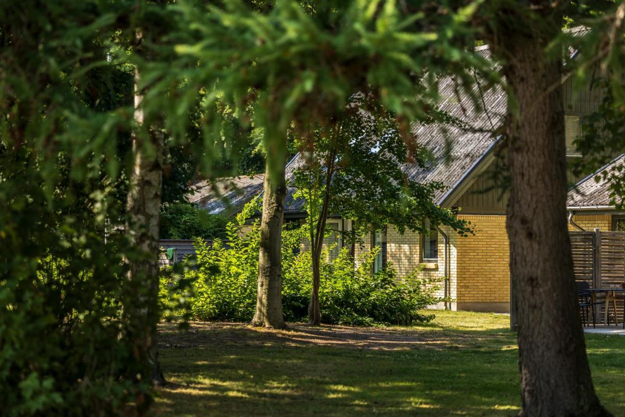 Pederstrup Bed And Breakfast Torrig エクステリア 写真