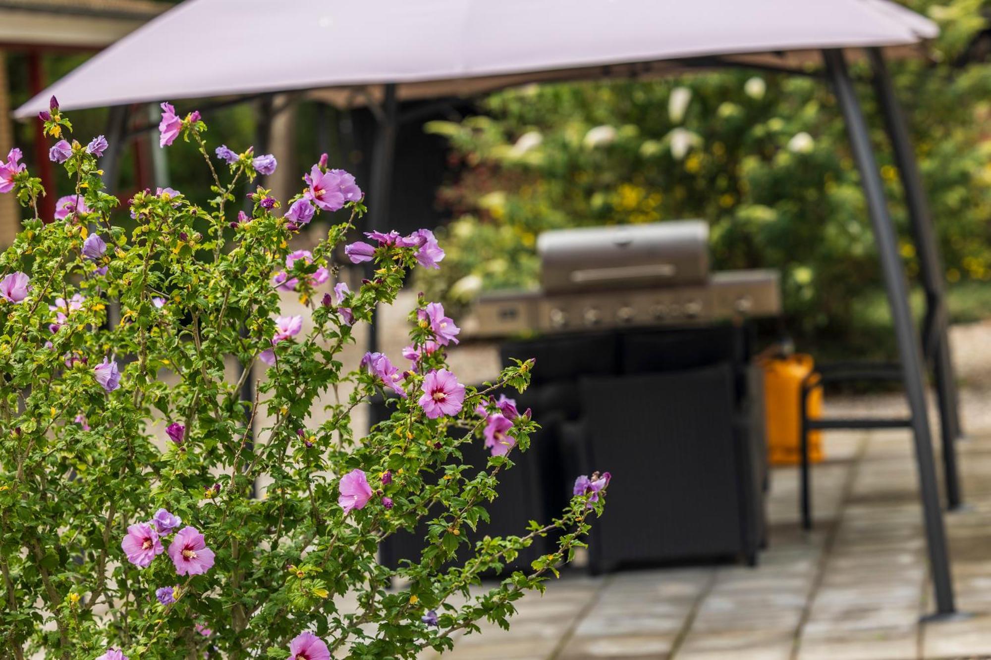 Pederstrup Bed And Breakfast Torrig エクステリア 写真